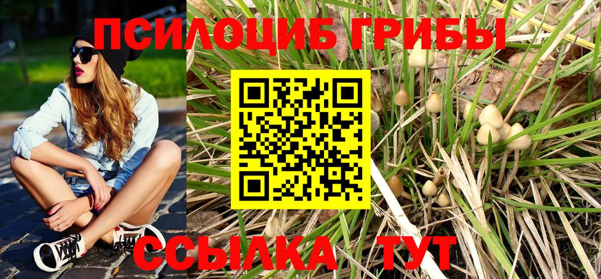 Галлюциногенные грибы мухоморы Альметьевск