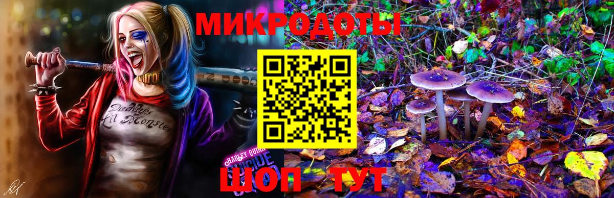 Альметьевск  Псилоцибиновые грибы ЛСД  Вход с VPN 